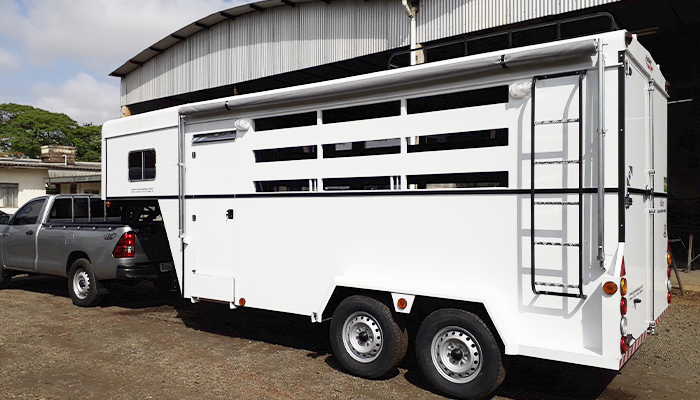 transporteanimais3